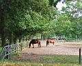 Toeristische rondrit op 29-9-2012 (83)